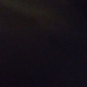 Meet your Posher, Baylee